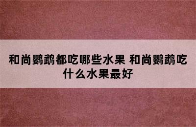 和尚鹦鹉都吃哪些水果 和尚鹦鹉吃什么水果最好